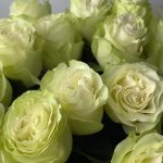 25 высоких роз