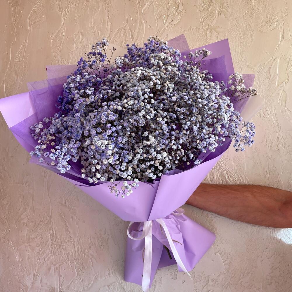 Облако сиреневой гипсофилы M