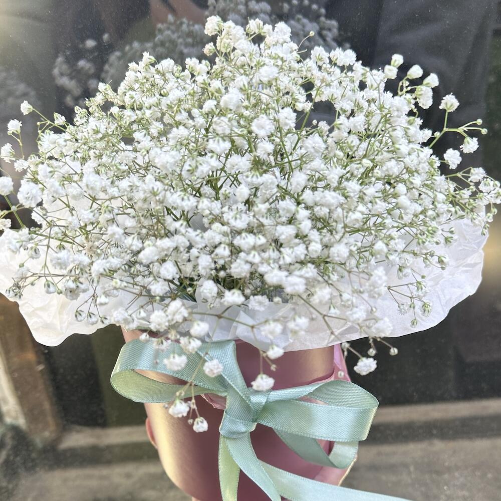 Гипсофила в коробке 